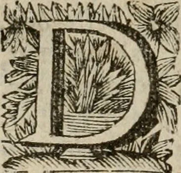 An illustration from Hollands heyll' en rampen ofte desselfs gelukk' en ongelukken : tegens malkanderen vertoond : in twee deelen ..., 1686, leaf 235