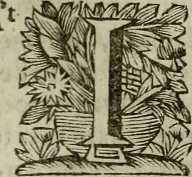 An illustration from Hollands heyll' en rampen ofte desselfs gelukk' en ongelukken : tegens malkanderen vertoond : in twee deelen ..., 1686, leaf 238