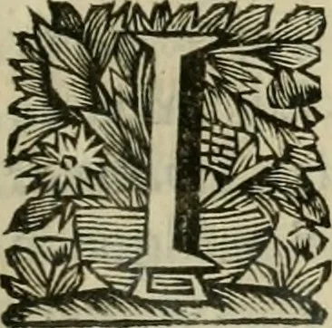 An illustration from Hollands heyll' en rampen ofte desselfs gelukk' en ongelukken : tegens malkanderen vertoond : in twee deelen ..., 1686, leaf 24