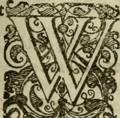 An illustration from Hollands heyll' en rampen ofte desselfs gelukk' en ongelukken : tegens malkanderen vertoond : in twee deelen ..., 1686, leaf 242