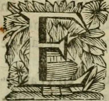 An illustration from Hollands heyll' en rampen ofte desselfs gelukk' en ongelukken : tegens malkanderen vertoond : in twee deelen ..., 1686, leaf 250