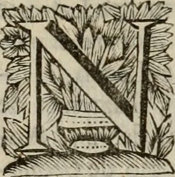 An illustration from Hollands heyll' en rampen ofte desselfs gelukk' en ongelukken : tegens malkanderen vertoond : in twee deelen ..., 1686, leaf 259