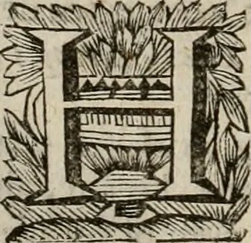 An illustration from Hollands heyll' en rampen ofte desselfs gelukk' en ongelukken : tegens malkanderen vertoond : in twee deelen ..., 1686, leaf 265