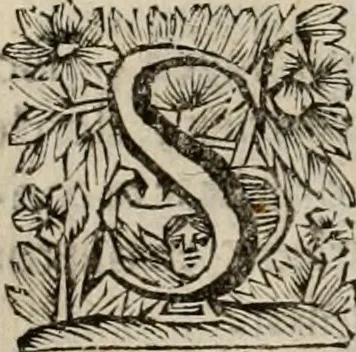 An illustration from Hollands heyll' en rampen ofte desselfs gelukk' en ongelukken : tegens malkanderen vertoond : in twee deelen ..., 1686, leaf 269
