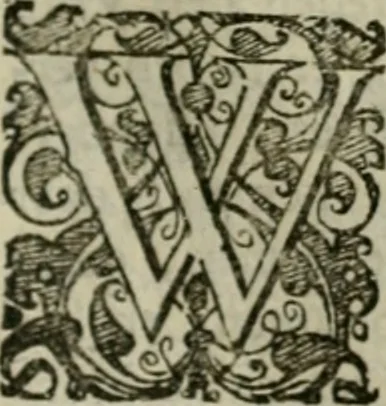 An illustration from Hollands heyll' en rampen ofte desselfs gelukk' en ongelukken : tegens malkanderen vertoond : in twee deelen ..., 1686, leaf 272