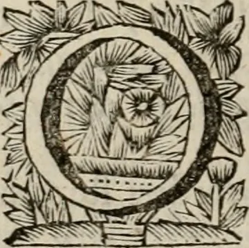 An illustration from Hollands heyll' en rampen ofte desselfs gelukk' en ongelukken : tegens malkanderen vertoond : in twee deelen ..., 1686, leaf 275
