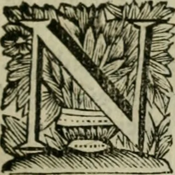 An illustration from Hollands heyll' en rampen ofte desselfs gelukk' en ongelukken : tegens malkanderen vertoond : in twee deelen ..., 1686, leaf 292