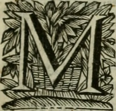 An illustration from Hollands heyll' en rampen ofte desselfs gelukk' en ongelukken : tegens malkanderen vertoond : in twee deelen ..., 1686, leaf 298