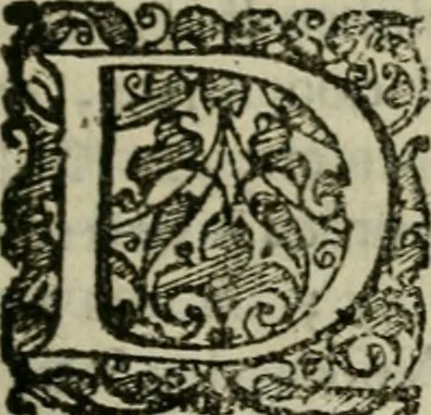 An illustration from Hollands heyll' en rampen ofte desselfs gelukk' en ongelukken : tegens malkanderen vertoond : in twee deelen ..., 1686, leaf 300
