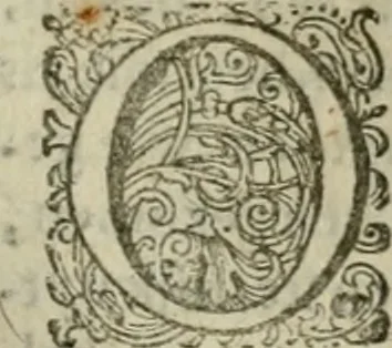 An illustration from Hollands heyll' en rampen ofte desselfs gelukk' en ongelukken : tegens malkanderen vertoond : in twee deelen ..., 1686, leaf 310