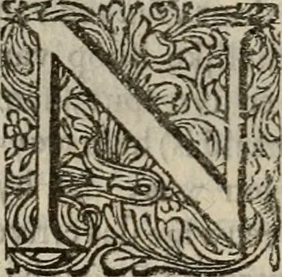 An illustration from Hollands heyll' en rampen ofte desselfs gelukk' en ongelukken : tegens malkanderen vertoond : in twee deelen ..., 1686, leaf 313