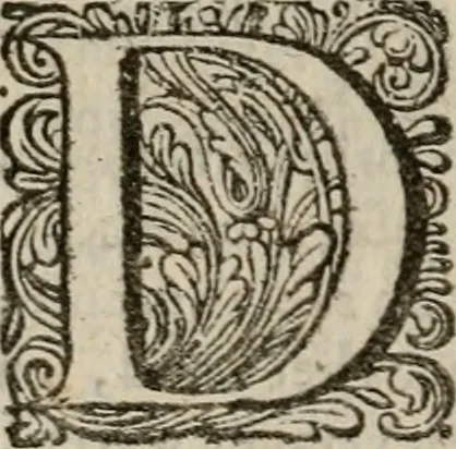 An illustration from Hollands heyll' en rampen ofte desselfs gelukk' en ongelukken : tegens malkanderen vertoond : in twee deelen ..., 1686, leaf 319