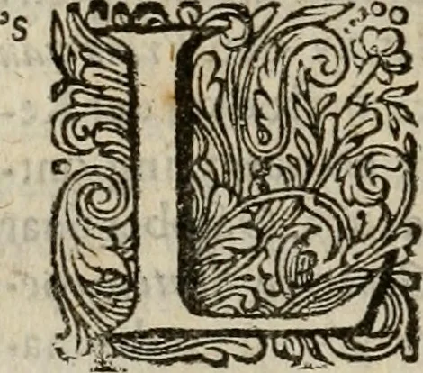 An illustration from Hollands heyll' en rampen ofte desselfs gelukk' en ongelukken : tegens malkanderen vertoond : in twee deelen ..., 1686, leaf 327