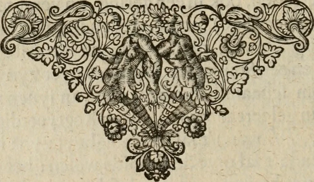 An illustration from Hollands heyll' en rampen ofte desselfs gelukk' en ongelukken : tegens malkanderen vertoond : in twee deelen ..., 1686, leaf 33