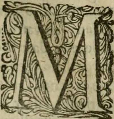 An illustration from Hollands heyll' en rampen ofte desselfs gelukk' en ongelukken : tegens malkanderen vertoond : in twee deelen ..., 1686, leaf 330