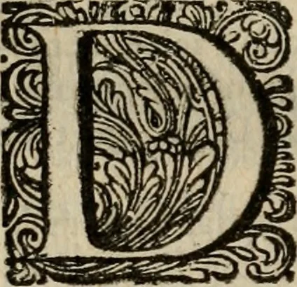 An illustration from Hollands heyll' en rampen ofte desselfs gelukk' en ongelukken : tegens malkanderen vertoond : in twee deelen ..., 1686, leaf 335