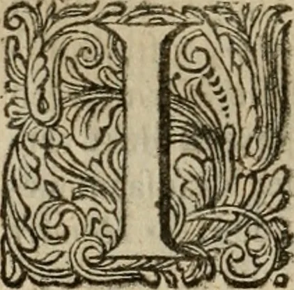 An illustration from Hollands heyll' en rampen ofte desselfs gelukk' en ongelukken : tegens malkanderen vertoond : in twee deelen ..., 1686, leaf 337