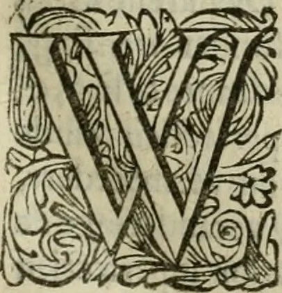 An illustration from Hollands heyll' en rampen ofte desselfs gelukk' en ongelukken : tegens malkanderen vertoond : in twee deelen ..., 1686, leaf 34