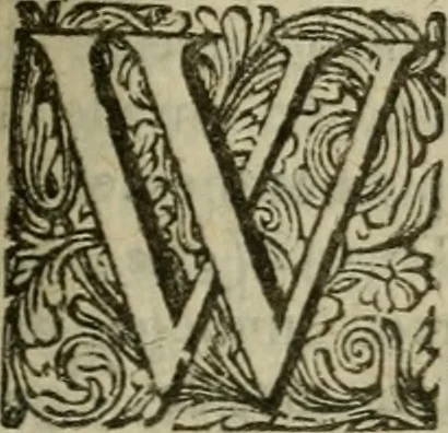 An illustration from Hollands heyll' en rampen ofte desselfs gelukk' en ongelukken : tegens malkanderen vertoond : in twee deelen ..., 1686, leaf 344