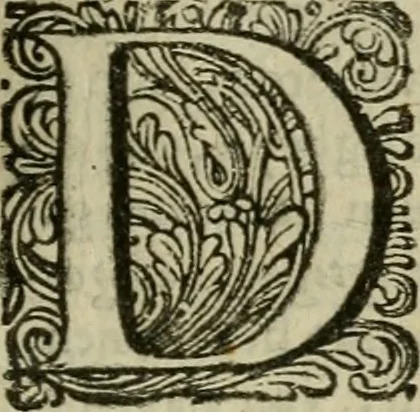 An illustration from Hollands heyll' en rampen ofte desselfs gelukk' en ongelukken : tegens malkanderen vertoond : in twee deelen ..., 1686, leaf 348