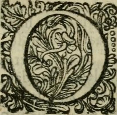 An illustration from Hollands heyll' en rampen ofte desselfs gelukk' en ongelukken : tegens malkanderen vertoond : in twee deelen ..., 1686, leaf 352