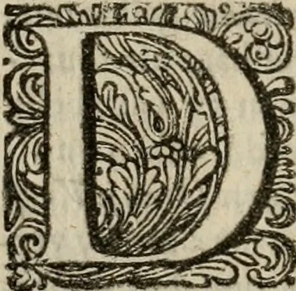 An illustration from Hollands heyll' en rampen ofte desselfs gelukk' en ongelukken : tegens malkanderen vertoond : in twee deelen ..., 1686, leaf 357