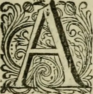 An illustration from Hollands heyll' en rampen ofte desselfs gelukk' en ongelukken : tegens malkanderen vertoond : in twee deelen ..., 1686, leaf 36