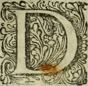 An illustration from Hollands heyll' en rampen ofte desselfs gelukk' en ongelukken : tegens malkanderen vertoond : in twee deelen ..., 1686, leaf 360