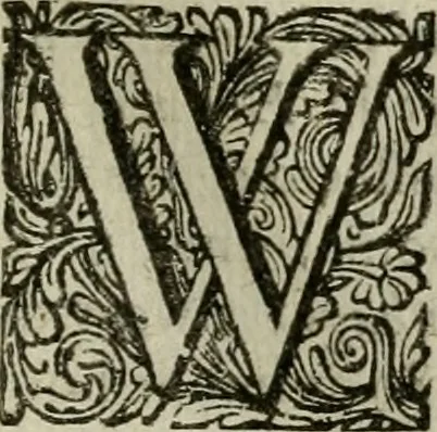 An illustration from Hollands heyll' en rampen ofte desselfs gelukk' en ongelukken : tegens malkanderen vertoond : in twee deelen ..., 1686, leaf 366