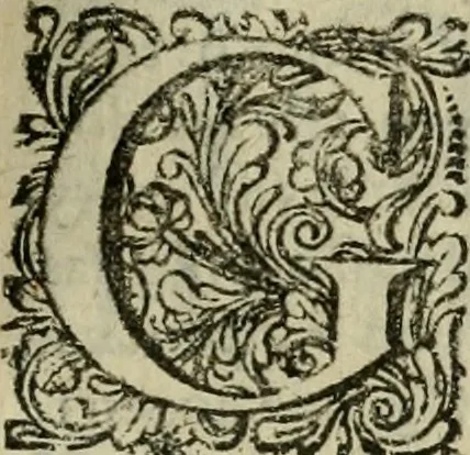 An illustration from Hollands heyll' en rampen ofte desselfs gelukk' en ongelukken : tegens malkanderen vertoond : in twee deelen ..., 1686, leaf 370