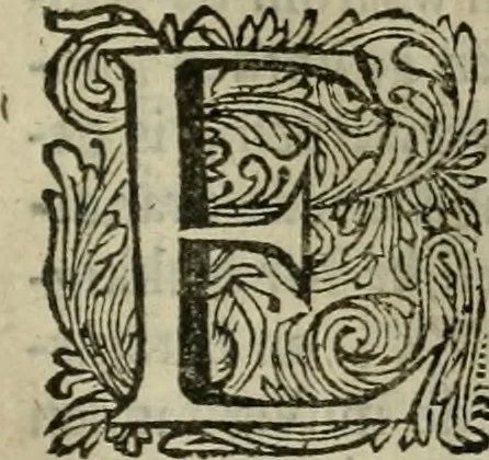 An illustration from Hollands heyll' en rampen ofte desselfs gelukk' en ongelukken : tegens malkanderen vertoond : in twee deelen ..., 1686, leaf 372