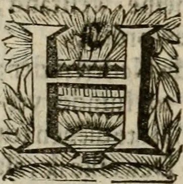 An illustration from Hollands heyll' en rampen ofte desselfs gelukk' en ongelukken : tegens malkanderen vertoond : in twee deelen ..., 1686, leaf 389
