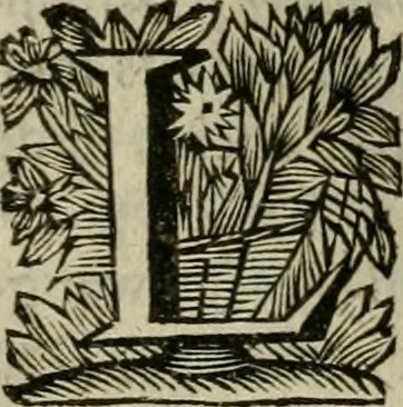 An illustration from Hollands heyll' en rampen ofte desselfs gelukk' en ongelukken : tegens malkanderen vertoond : in twee deelen ..., 1686, leaf 440