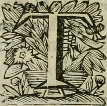 An illustration from Hollands heyll' en rampen ofte desselfs gelukk' en ongelukken : tegens malkanderen vertoond : in twee deelen ..., 1686, leaf 468