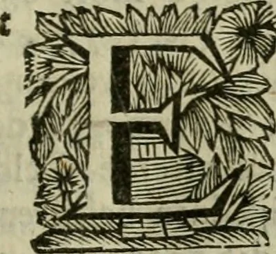 An illustration from Hollands heyll' en rampen ofte desselfs gelukk' en ongelukken : tegens malkanderen vertoond : in twee deelen ..., 1686, leaf 496