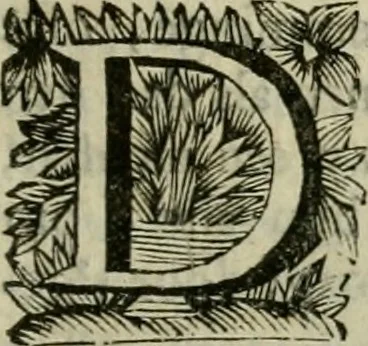 An illustration from Hollands heyll' en rampen ofte desselfs gelukk' en ongelukken : tegens malkanderen vertoond : in twee deelen ..., 1686, leaf 50
