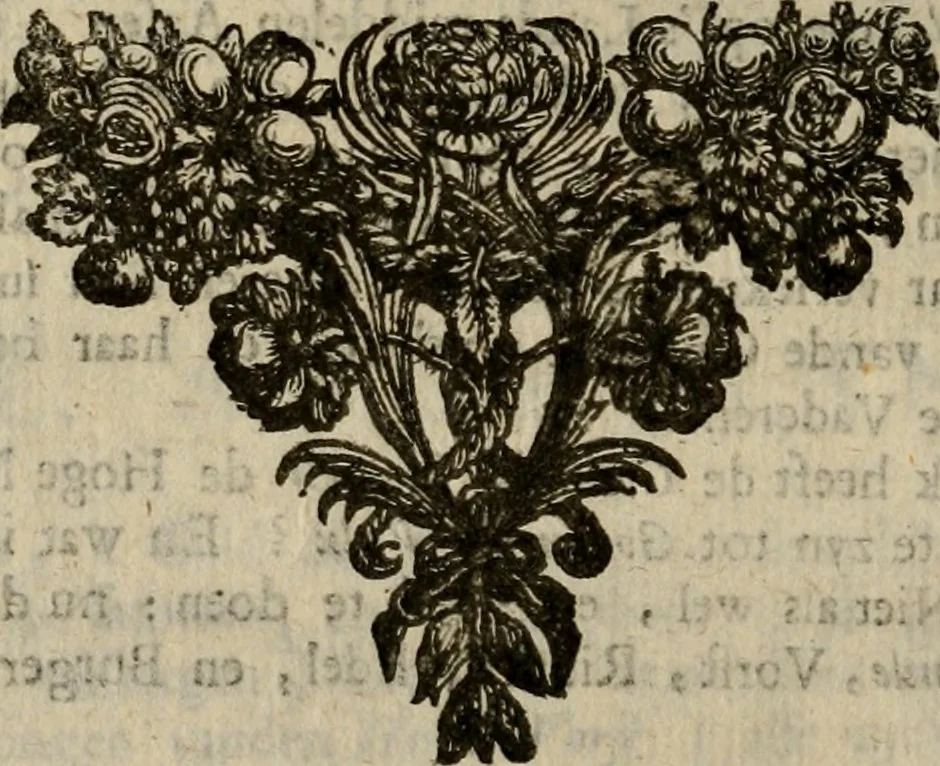 An illustration from Hollands heyll' en rampen ofte desselfs gelukk' en ongelukken : tegens malkanderen vertoond : in twee deelen ..., 1686, leaf 537