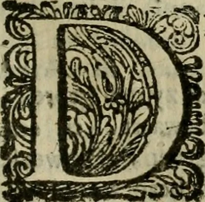 An illustration from Hollands heyll' en rampen ofte desselfs gelukk' en ongelukken : tegens malkanderen vertoond : in twee deelen ..., 1686, leaf 538