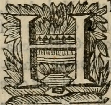 An illustration from Hollands heyll' en rampen ofte desselfs gelukk' en ongelukken : tegens malkanderen vertoond : in twee deelen ..., 1686, leaf 539