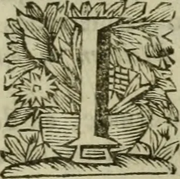 An illustration from Hollands heyll' en rampen ofte desselfs gelukk' en ongelukken : tegens malkanderen vertoond : in twee deelen ..., 1686, leaf 546