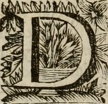 An illustration from Hollands heyll' en rampen ofte desselfs gelukk' en ongelukken : tegens malkanderen vertoond : in twee deelen ..., 1686, leaf 555