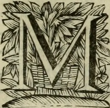 An illustration from Hollands heyll' en rampen ofte desselfs gelukk' en ongelukken : tegens malkanderen vertoond : in twee deelen ..., 1686, leaf 558