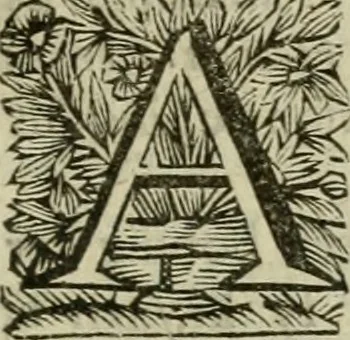 An illustration from Hollands heyll' en rampen ofte desselfs gelukk' en ongelukken : tegens malkanderen vertoond : in twee deelen ..., 1686, leaf 566
