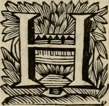 An illustration from Hollands heyll' en rampen ofte desselfs gelukk' en ongelukken : tegens malkanderen vertoond : in twee deelen ..., 1686, leaf 57