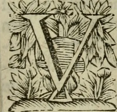 An illustration from Hollands heyll' en rampen ofte desselfs gelukk' en ongelukken : tegens malkanderen vertoond : in twee deelen ..., 1686, leaf 604
