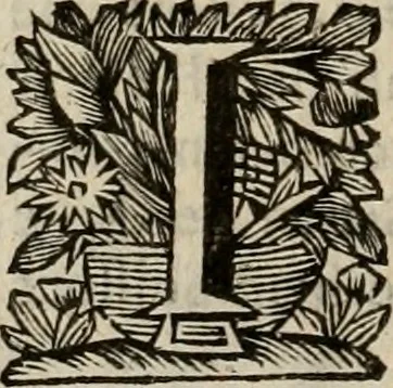 An illustration from Hollands heyll' en rampen ofte desselfs gelukk' en ongelukken : tegens malkanderen vertoond : in twee deelen ..., 1686, leaf 61