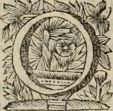 An illustration from Hollands heyll' en rampen ofte desselfs gelukk' en ongelukken : tegens malkanderen vertoond : in twee deelen ..., 1686, leaf 623