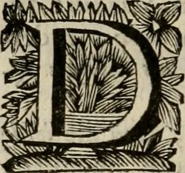 An illustration from Hollands heyll' en rampen ofte desselfs gelukk' en ongelukken : tegens malkanderen vertoond : in twee deelen ..., 1686, leaf 63