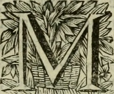 An illustration from Hollands heyll' en rampen ofte desselfs gelukk' en ongelukken : tegens malkanderen vertoond : in twee deelen ..., 1686, leaf 642