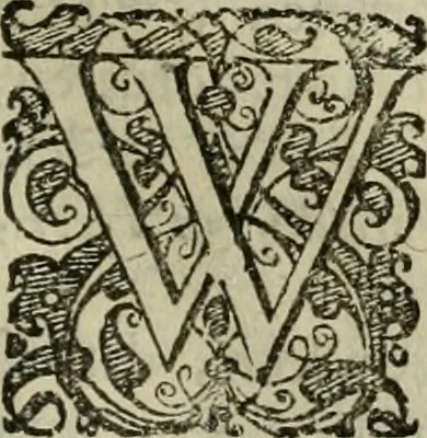 An illustration from Hollands heyll' en rampen ofte desselfs gelukk' en ongelukken : tegens malkanderen vertoond : in twee deelen ..., 1686, leaf 652